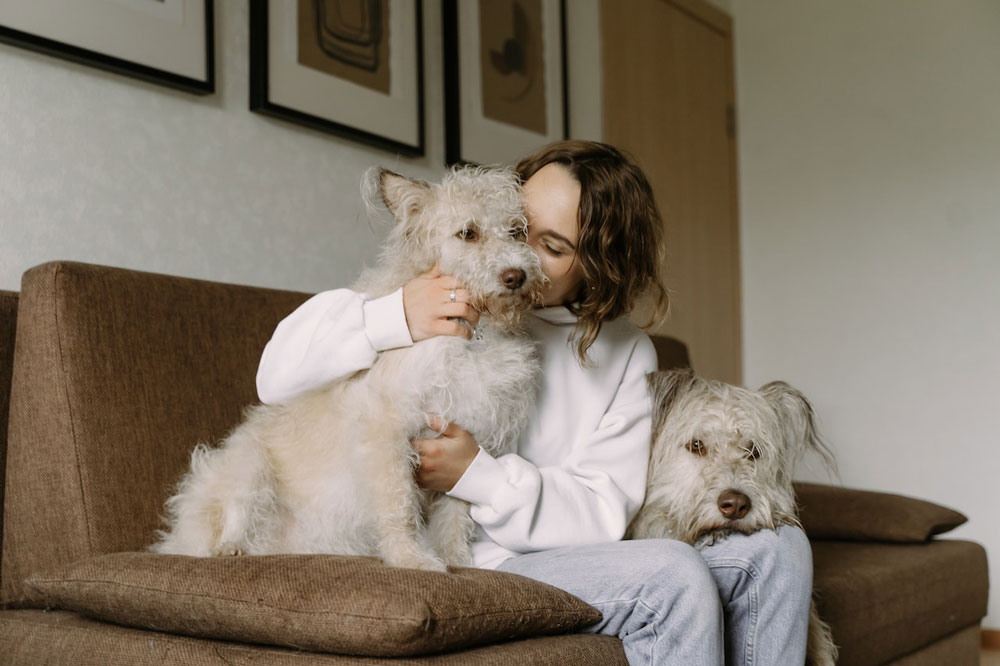 Photo of two fluffy dogs sitting on a couch with a woman kissing one of them.